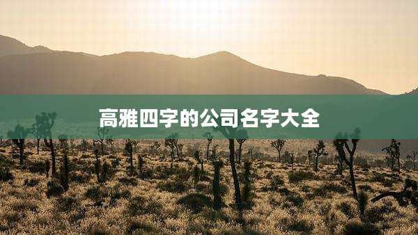 高雅四字的公司名字大全