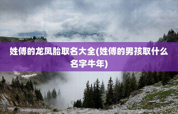 姓傅的龙凤胎取名大全(姓傅的男孩取什么名字牛年)