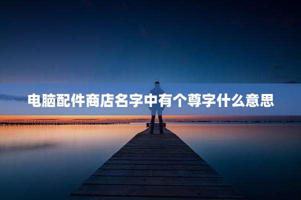 电脑配件商店名字中有个尊字什么意思