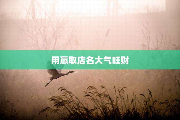 用赢取店名大气旺财