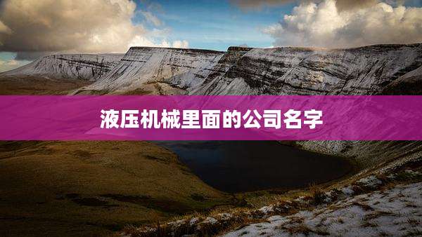 液压机械里面的公司名字