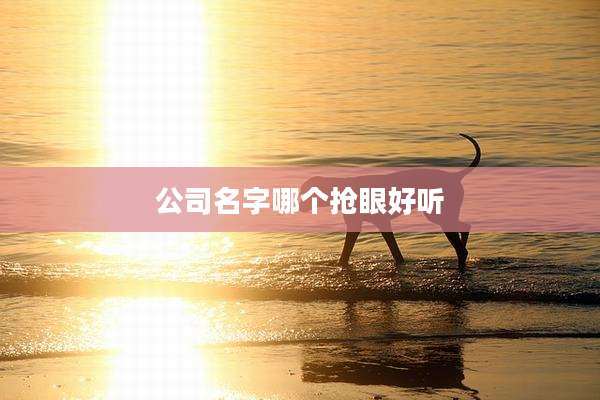 公司名字哪个抢眼好听