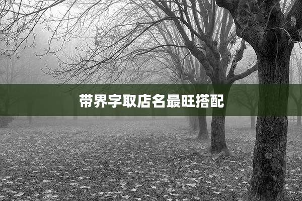 带界字取店名最旺搭配