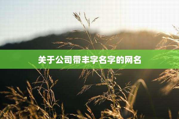 关于公司带丰字名字的网名