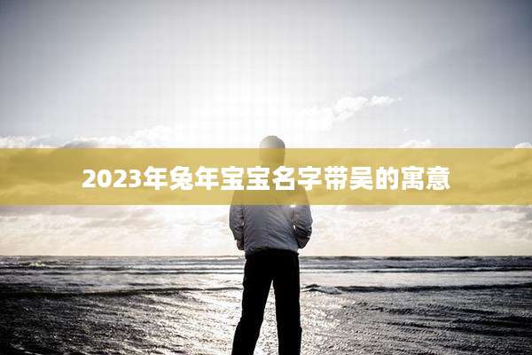 2023年兔年宝宝名字带吴的寓意