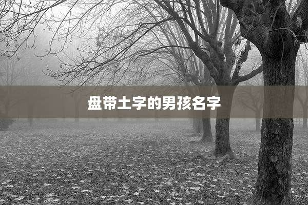 盘带土字的男孩名字