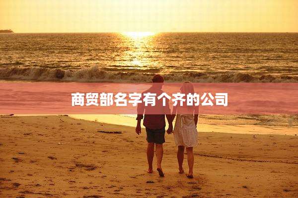 商贸部名字有个齐的公司