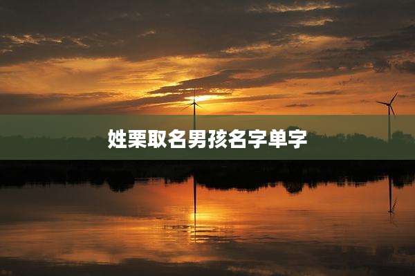 姓栗取名男孩名字单字