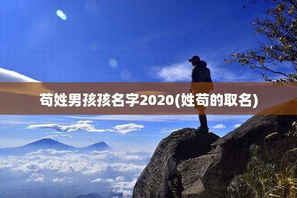 苟姓男孩孩名字2020(姓苟的取名)