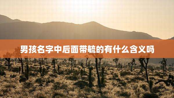 男孩名字中后面带毓的有什么含义吗