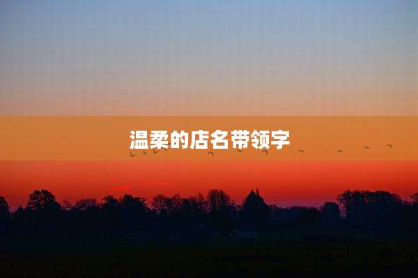 温柔的店名带领字