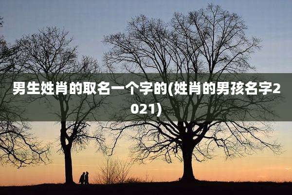 男生姓肖的取名一个字的(姓肖的男孩名字2021)