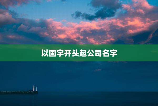 以固字开头起公司名字