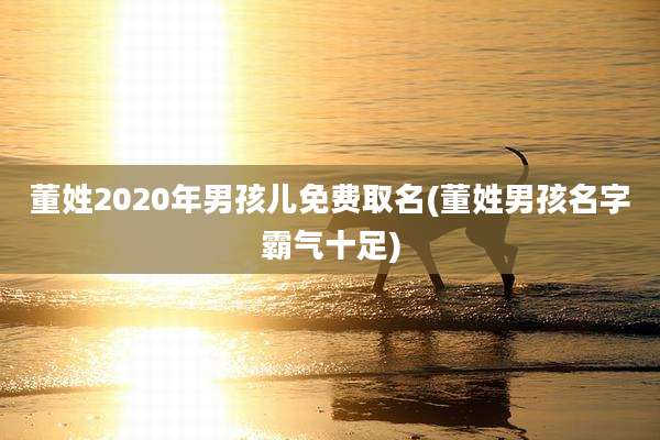 董姓2020年男孩儿免费取名(董姓男孩名字霸气十足)