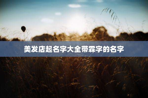 美发店起名字大全带霖字的名字