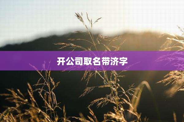 开公司取名带济字