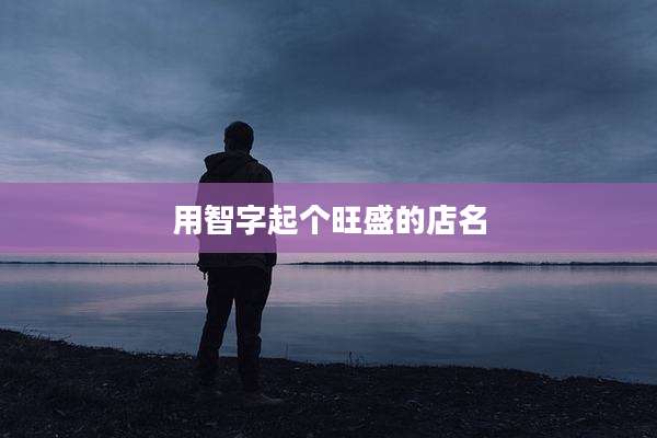 用智字起个旺盛的店名