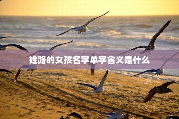 姓路的女孩名字单字含义是什么
