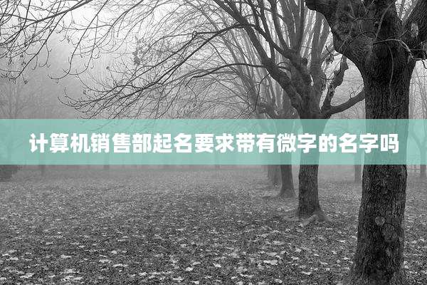 计算机销售部起名要求带有微字的名字吗
