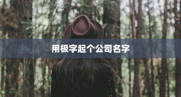 用极字起个公司名字