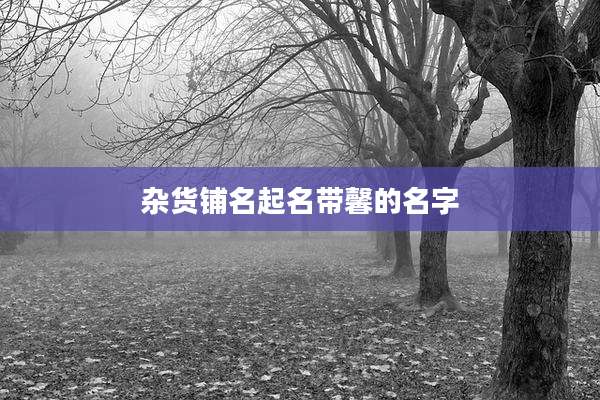 杂货铺名起名带馨的名字