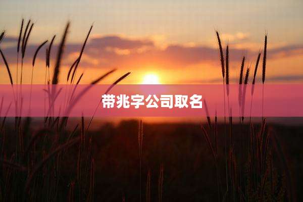带兆字公司取名