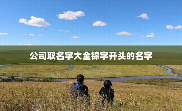 公司取名字大全锦字开头的名字