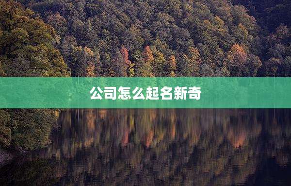 公司怎么起名新奇