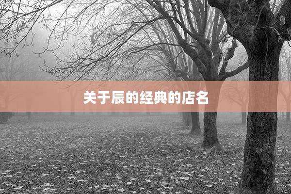 关于辰的经典的店名