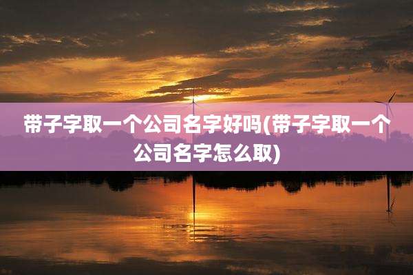 带子字取一个公司名字好吗(带子字取一个公司名字怎么取)