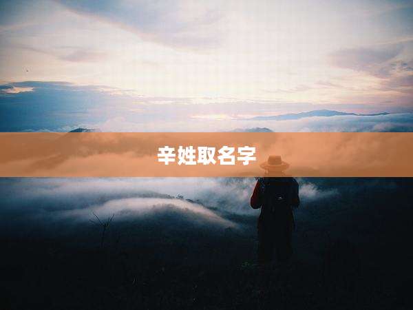 辛姓取名字