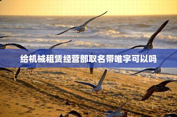 给机械租赁经营部取名带唯字可以吗
