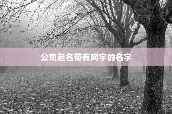 公司起名带有网字的名字