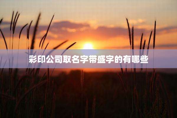 彩印公司取名字带盛字的有哪些