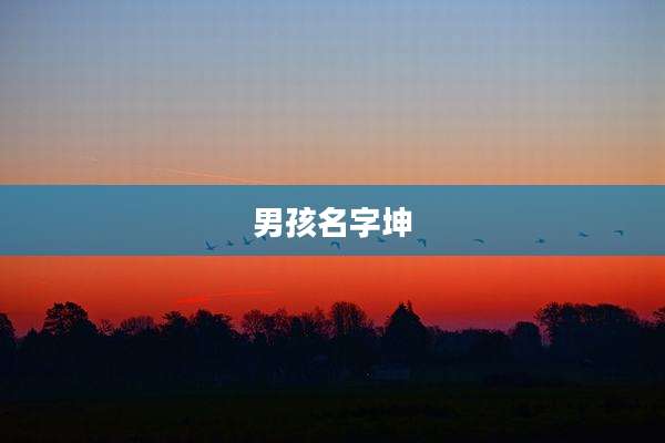男孩名字坤