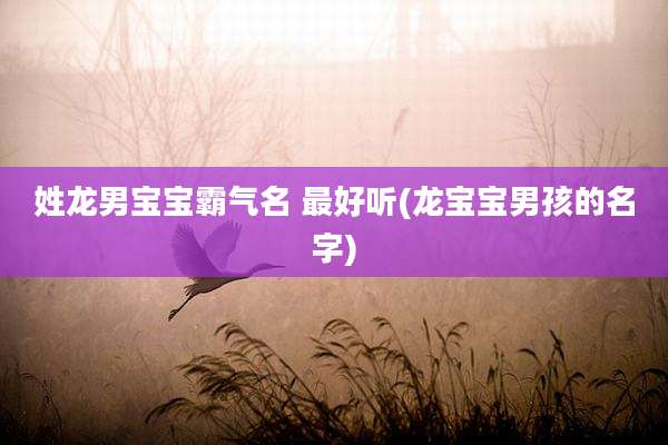 姓龙男宝宝霸气名 最好听(龙宝宝男孩的名字)