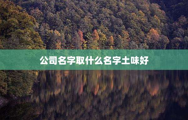 公司名字取什么名字土味好