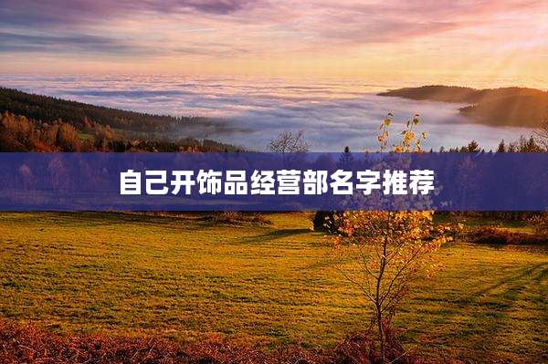 自己开饰品经营部名字推荐