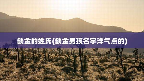 缺金的姓氏(缺金男孩名字洋气点的)