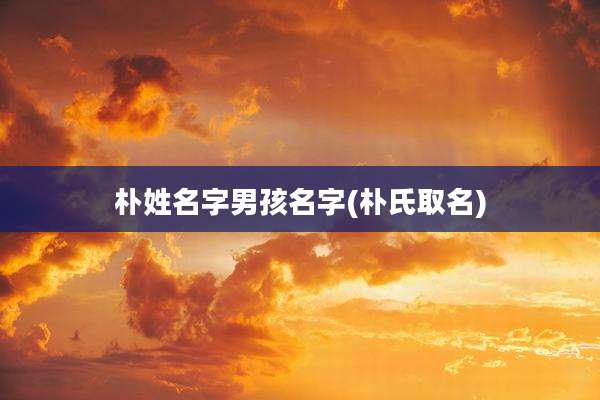 朴姓名字男孩名字(朴氏取名)