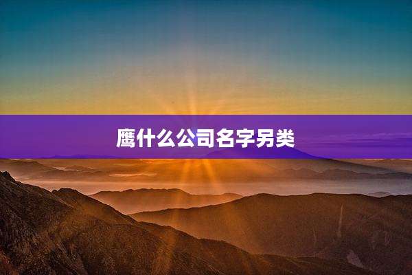 鹰什么公司名字另类