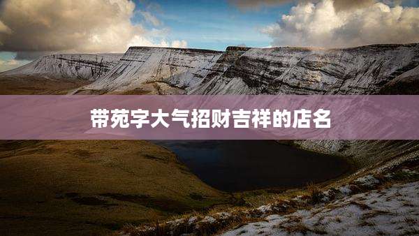 带苑字大气招财吉祥的店名