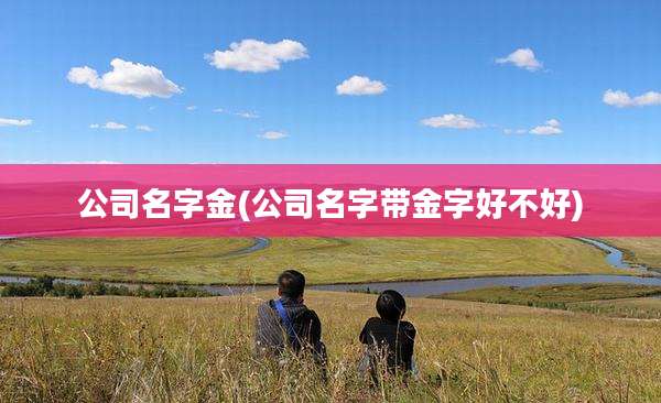 公司名字金(公司名字带金字好不好)