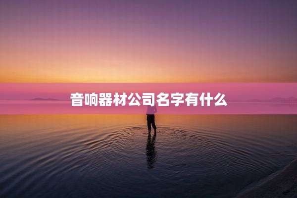 音响器材公司名字有什么