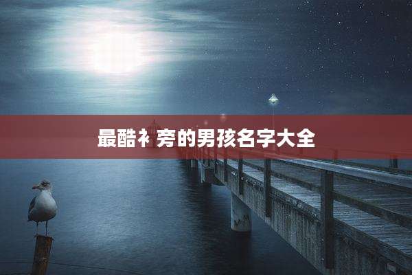 最酷衤旁的男孩名字大全