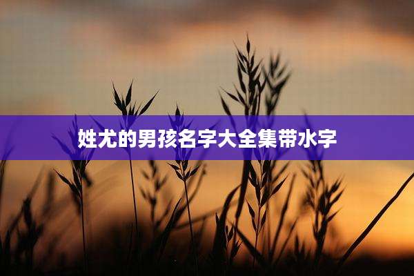 姓尤的男孩名字大全集带水字