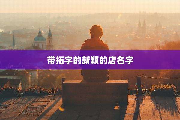 带拓字的新颖的店名字