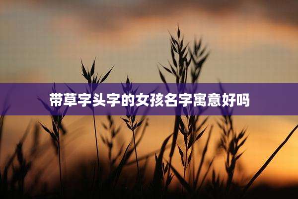 带草字头字的女孩名字寓意好吗