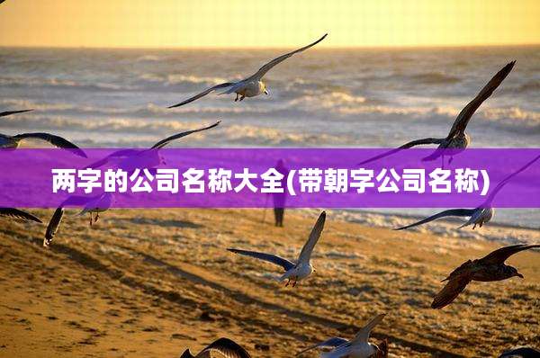 两字的公司名称大全(带朝字公司名称)
