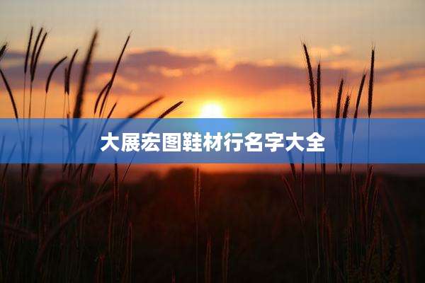 大展宏图鞋材行名字大全
